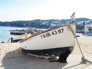 Beach nearby, sun-loungers