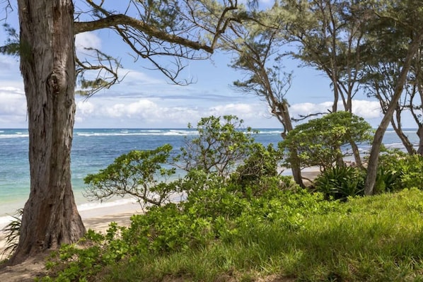 Plage à proximité