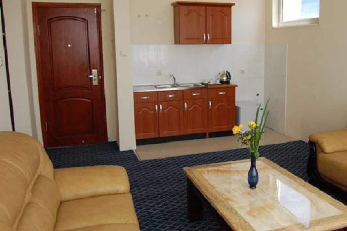 A living room with a sofa, a coffee table with a vase, and a kitchen area with wooden cabinets and a sink.