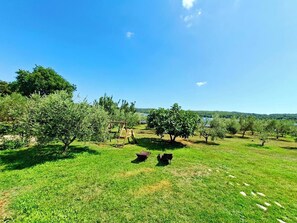 Children’s area - Beach House BETA a romantic hideaway in olive grove by the sea, pool, jacuzzi (Pomer)