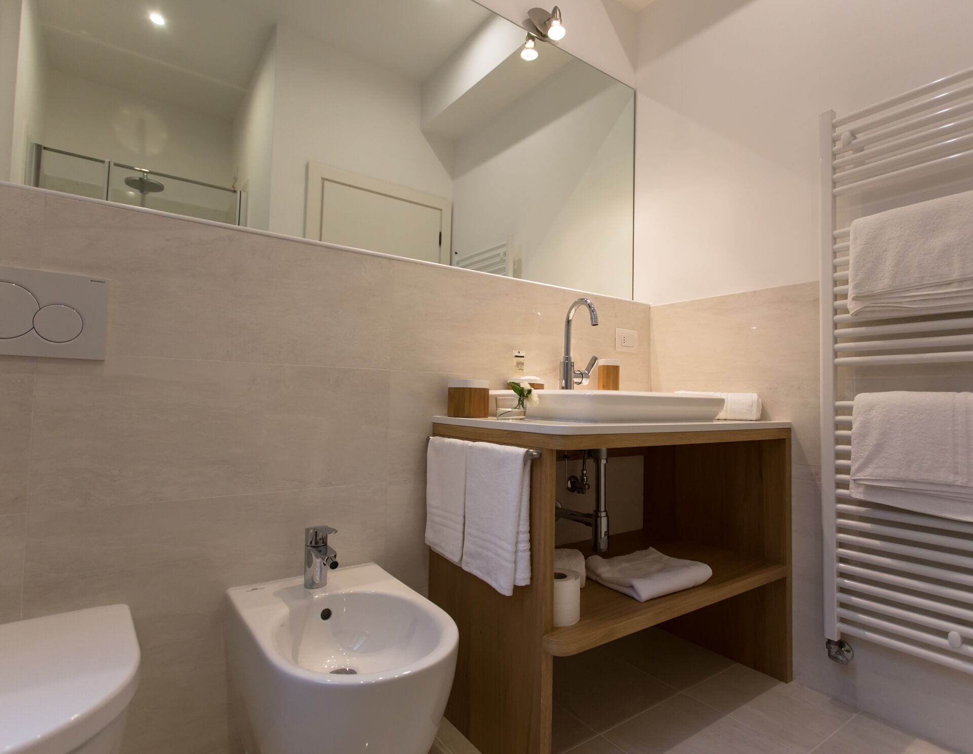 Shower, hair dryer, bidet, towels
