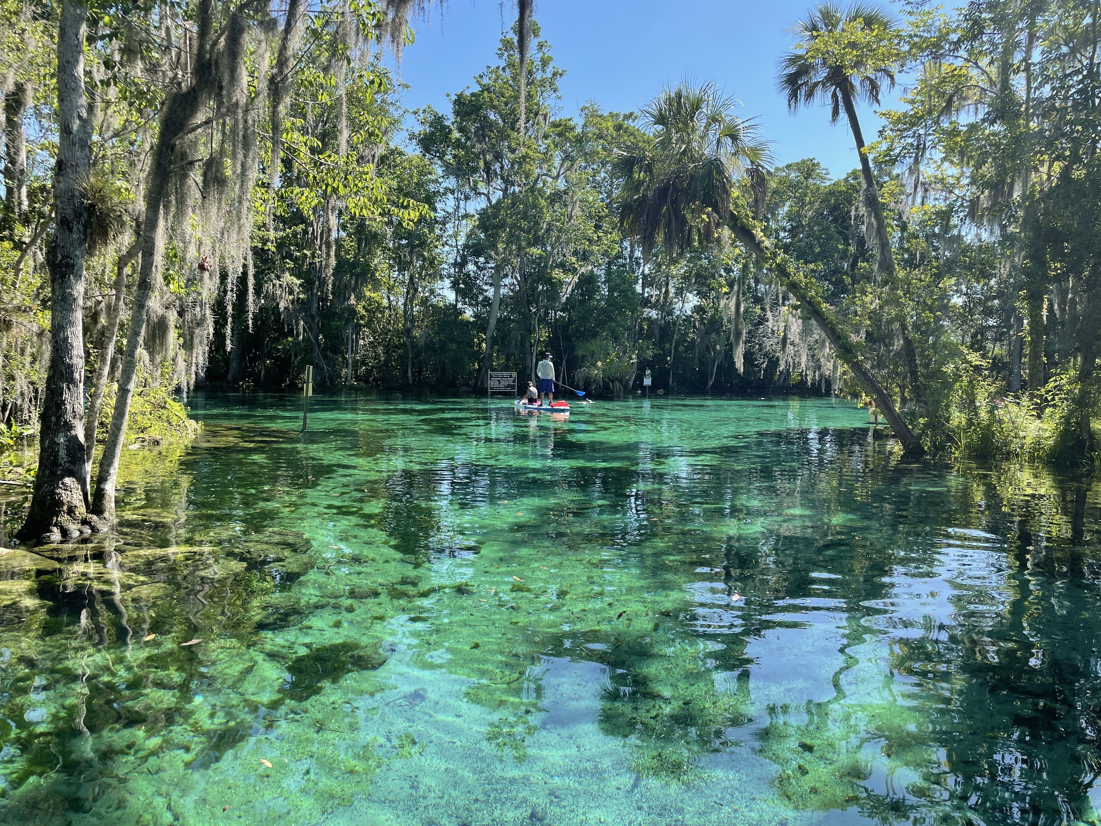 Florida springs minutes from you@Chassdoorway