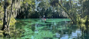 Florida springs minutes from you@Chassdoorway