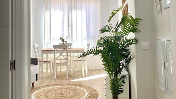 Een moderne, goed verlichte hal met een eetgedeelte op de achtergrond. Een kamerplant staat vooraan en er ligt een geweven vloerkleed.
