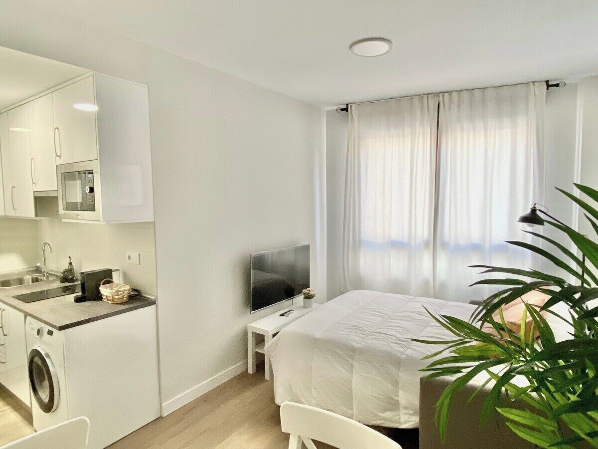 A compact hotel room with a kitchenette, a bed, a TV, and a potted plant.