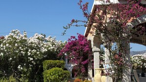 Um jardim com vasos de plantas e um edifício com fachada de pedra.