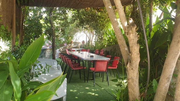 Un área de comedor al aire libre con mesa y sillas, rodeada de abundante vegetación y árboles.