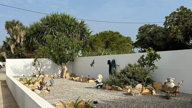 Ein angelegter Garten mit weißer Mauer, Steinen und verschiedenen Pflanzen.