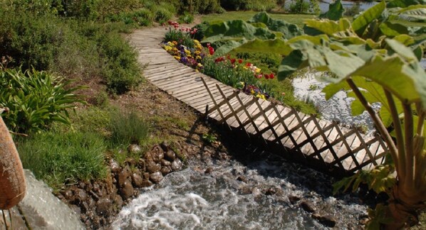 Terrein van de accommodatie