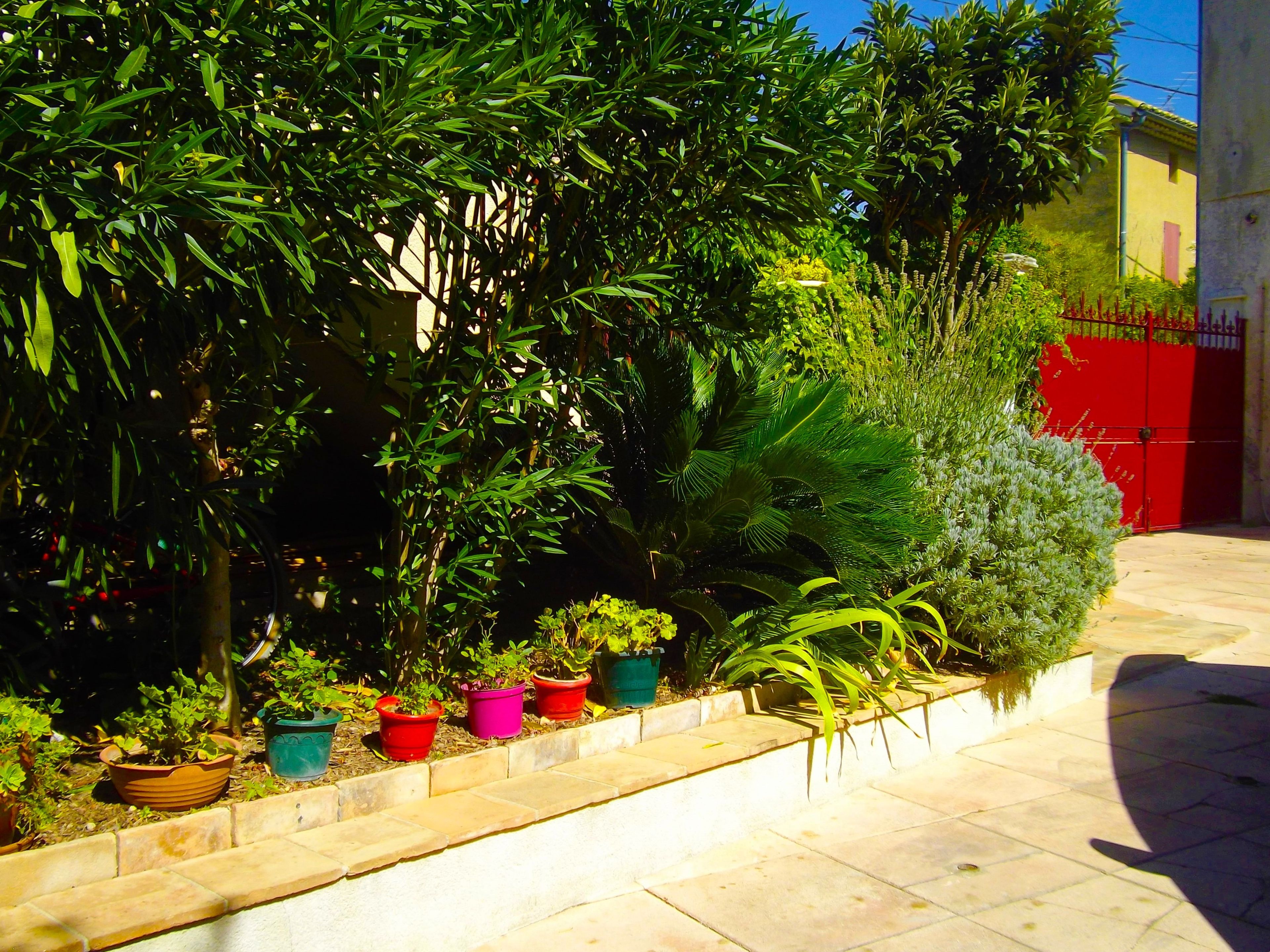 Un jardin avec différentes plantes en pot et, au fond, un portail rouge.