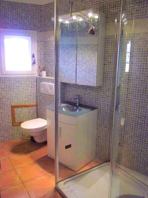 Ein Badezimmer mit einer Duschkabine, einer Toilette und einem Waschbecken mit Spiegel.