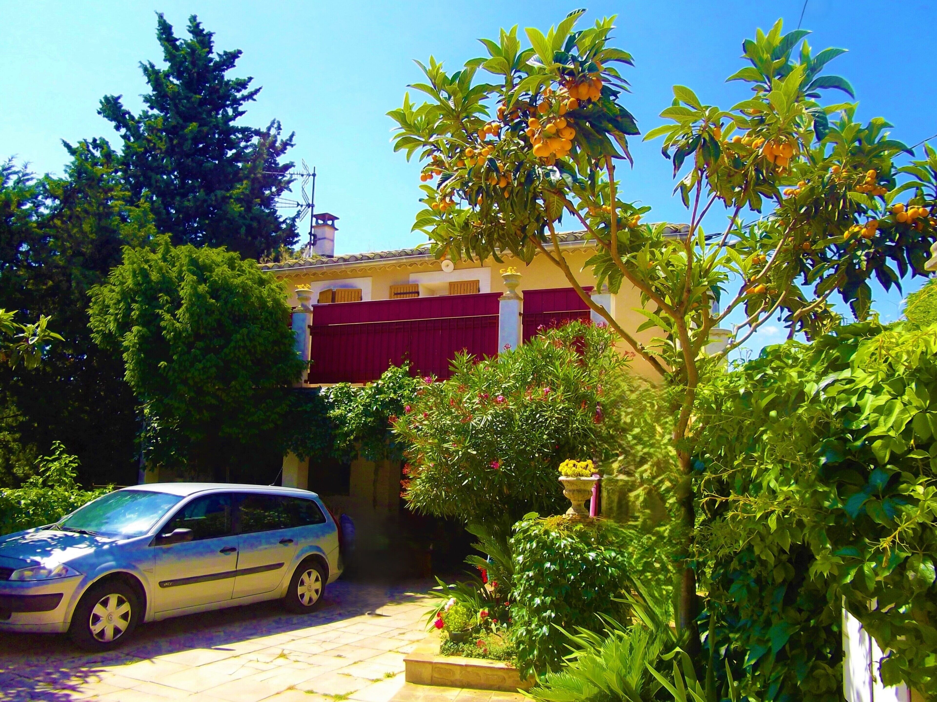 Área da propriedade