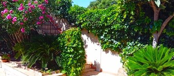 Lovely Appart-Villa. independent. 2 pers in Provence Village near Avignon
