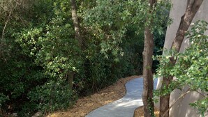 A stone pathway leading through a landscaped area with trees and shrubs. - Duplex Le Philandra - 2-4 pers - jacuzzi  (Monteils)