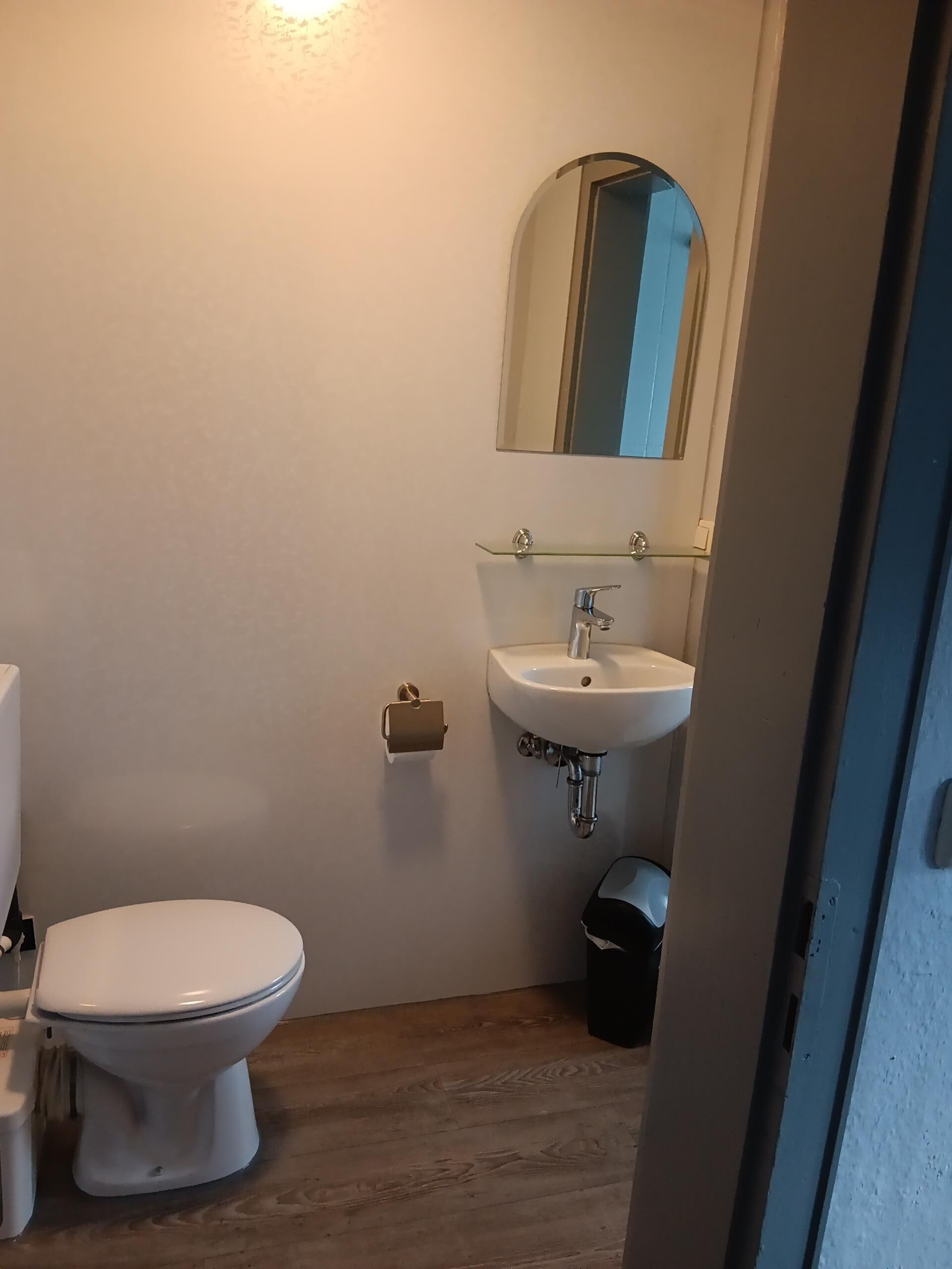 Ett litet badrum med en toalett, ett handfat och en spegel.