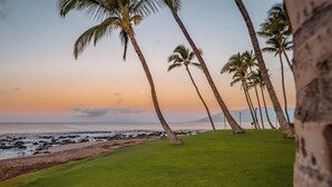 Un espacio cubierto de césped con palmeras y vista al océano al atardecer.