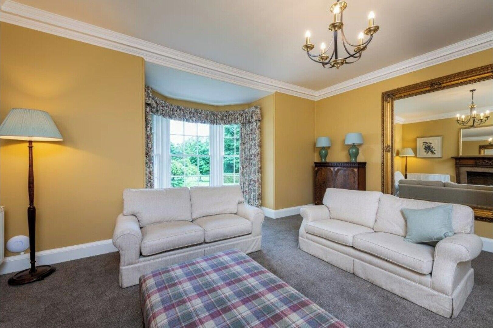 Smart TV, chimenea y libros 