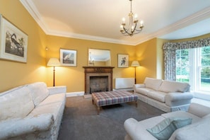 Smart TV, fireplace, books