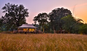 Exterior - The Untamed Bandhavgarh by TUTC (Manpur)