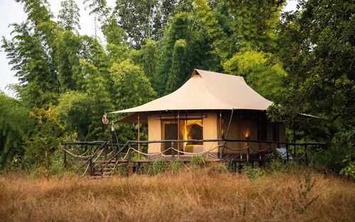 The Untamed Bandhavgarh by TUTC