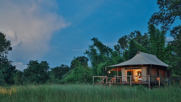 A tented accommodation with a covered porch, surrounded by tall grass and trees. - The Untamed Bandhavgarh by TUTC (Manpur)