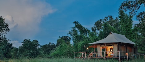 Luksustelttamajoitus, patio (Suite) | Egyptinpuuvillaiset lakanat, ylelliset vuodevaatteet