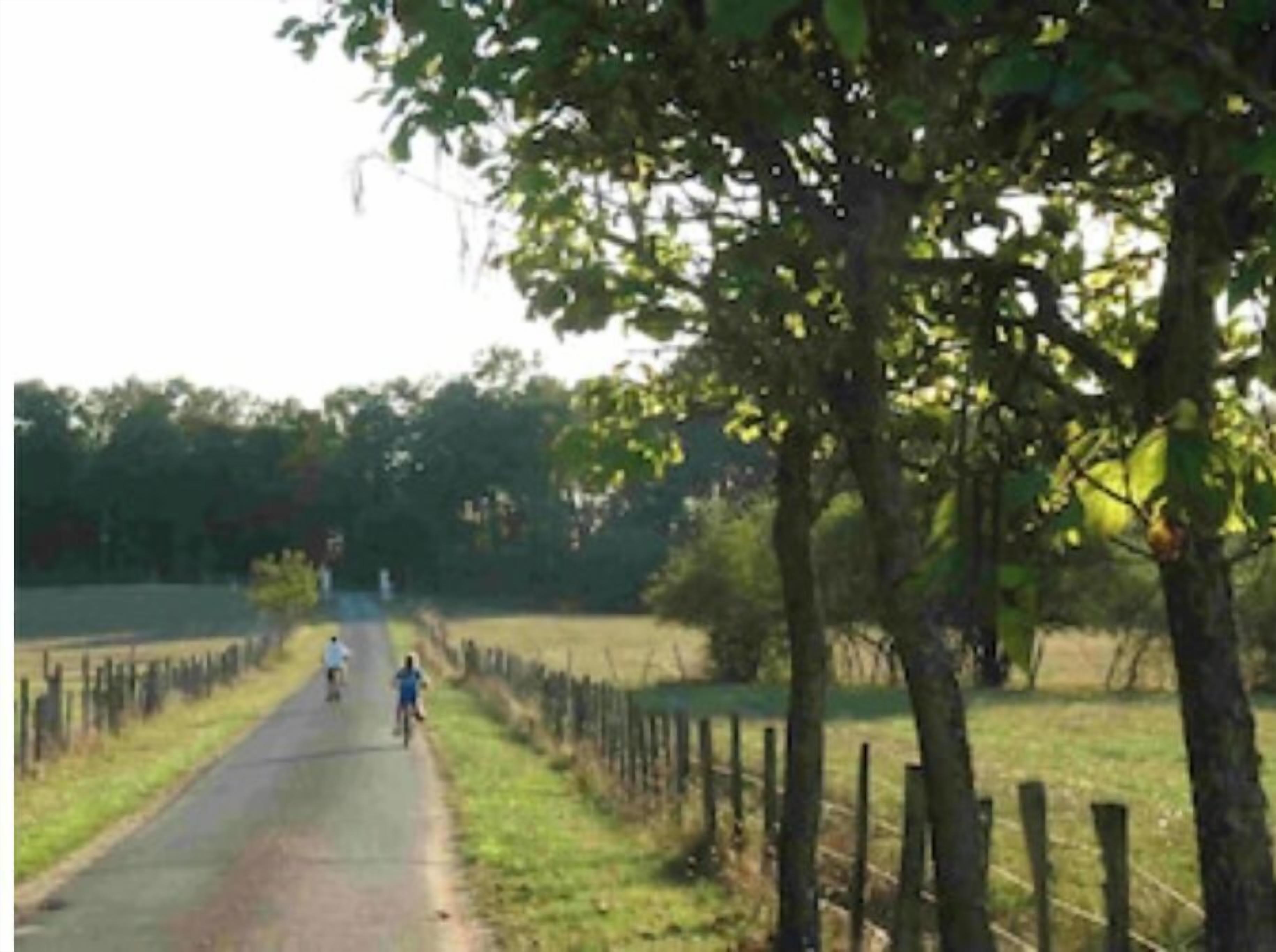 Un chemin pavé, bordé d’une clôture d’un côté et d’arbres de l’autre.