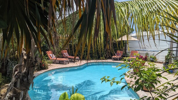 Una piscina con sillones de descanso y plantas en macetas alrededor.