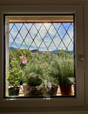 Una ventana con vista a un balcón con plantas en macetas y una flor rosa.