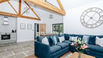 Smart TV, fireplace, Netflix, streaming services