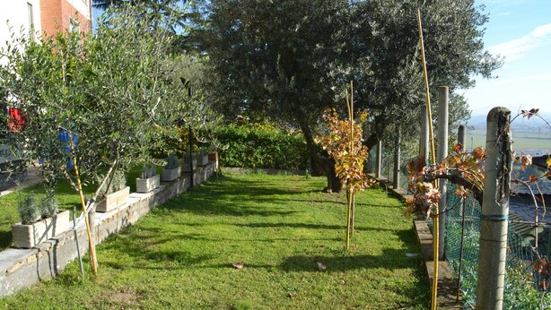 A well-maintained garden with various plants and trees, a stone pathway, and a fence. - A1-GIRASOLE BED AND BREAKFAST (Castelnuovo di Porto)