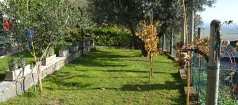 A1-GIRASOLE BED AND BREAKFAST