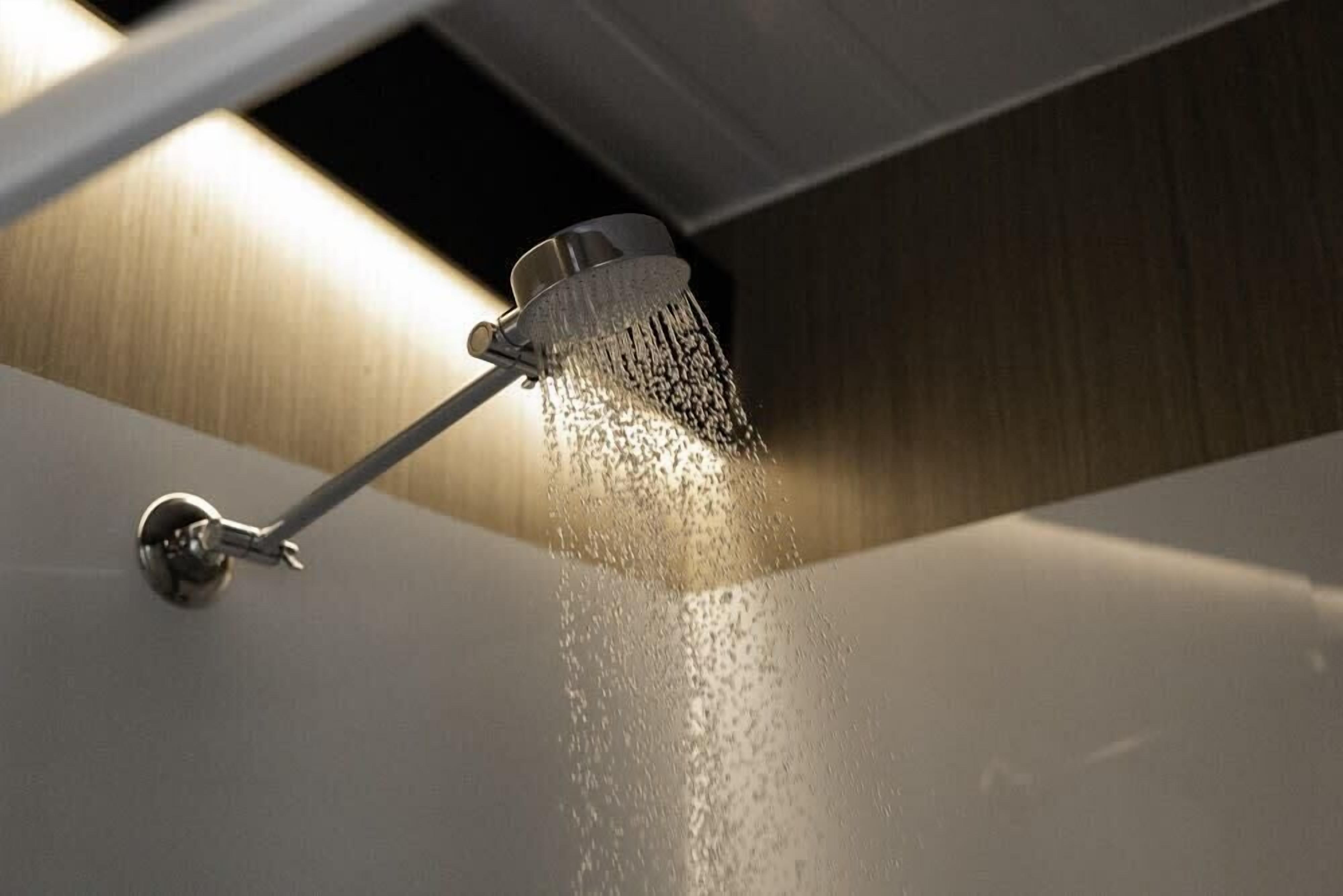 Hand-held showerhead