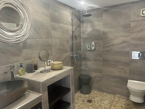 Shower, hair dryer, towels