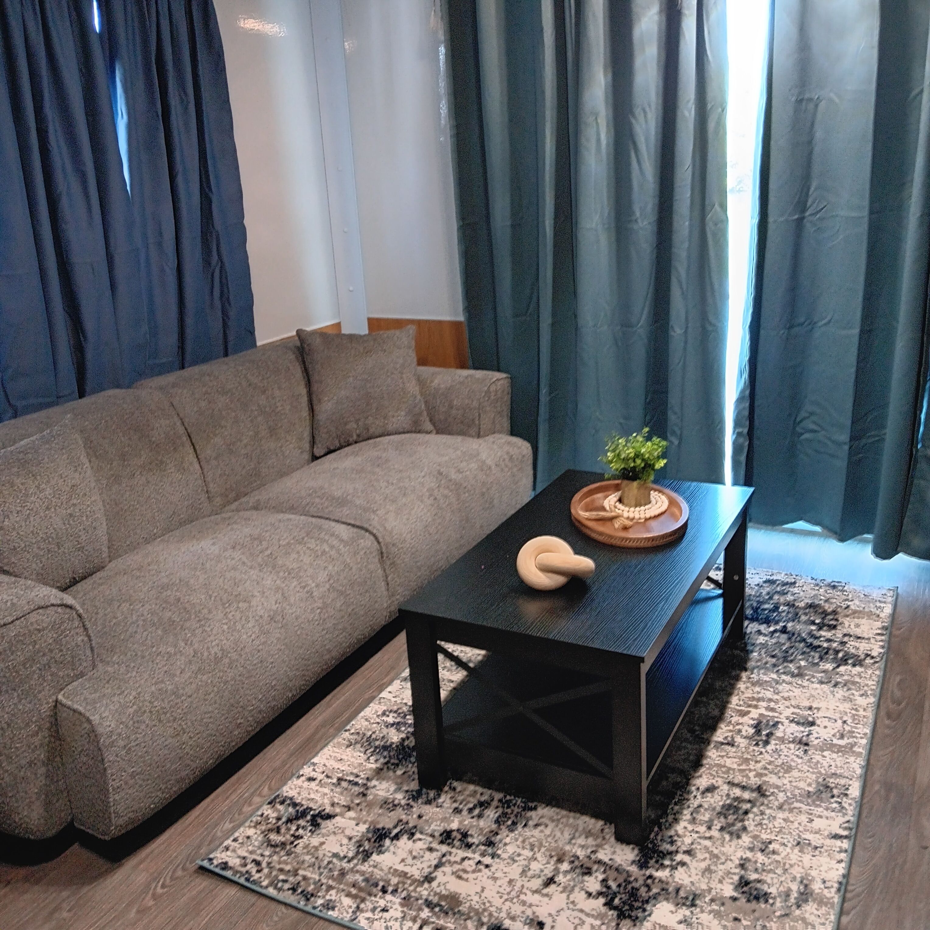 A living room with a grey sofa, a black coffee table with a plant, and a patterned rug.