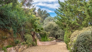 Un sendero en un jardín con diversas plantas y árboles, un muro de piedra y un camino de grava.