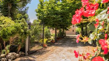 Parco della struttura