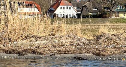 House Boddenkieker 1 Rügen Mönchgut terrace with great sea view, Göhren, Sellin
