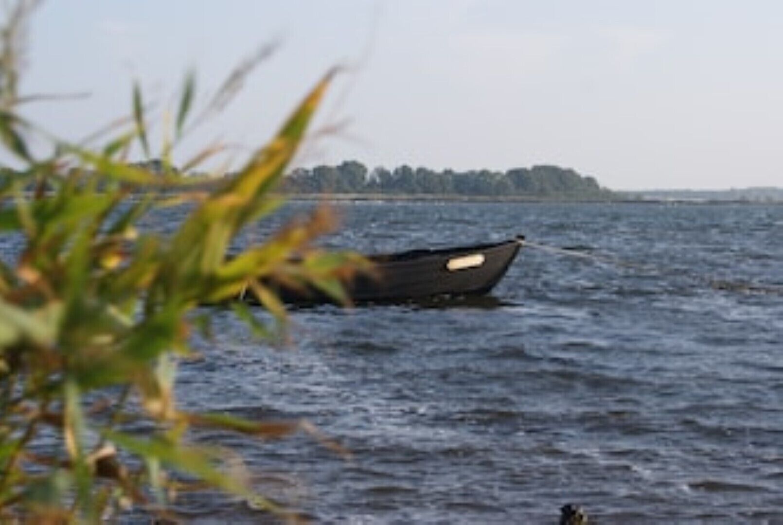 Um pequeno barco em águas calmas com uma área florestada ao fundo.