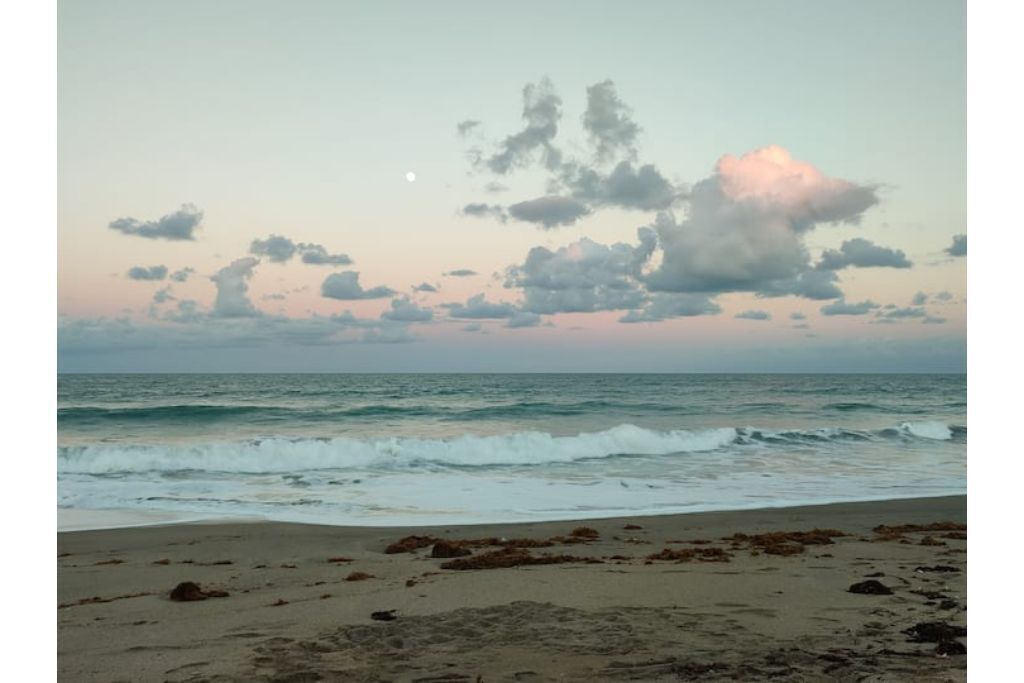 Sun loungers, beach towels