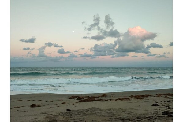 Sun loungers, beach towels