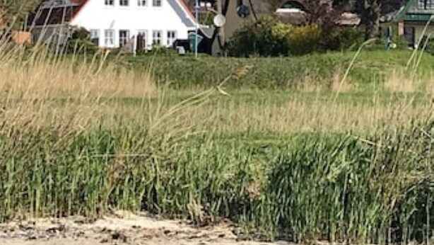 A white building with a red roof near a body of water, surrounded by tall grass and trees. - House Boddenkieker 2 Rügen Mönchgut, terrace with great lake view, Göhren. Sellin (Mönchgut)