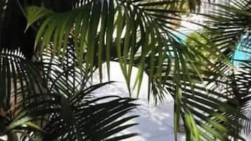 Vistas desde la habitación