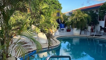 Garden view