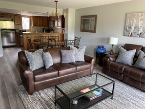 Flat-screen TV, fireplace, DVD player