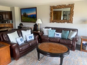 TV, fireplace, DVD player