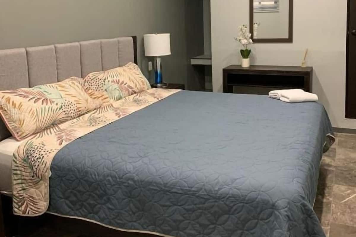 Egyptian cotton sheets, premium bedding, down comforters, free WiFi