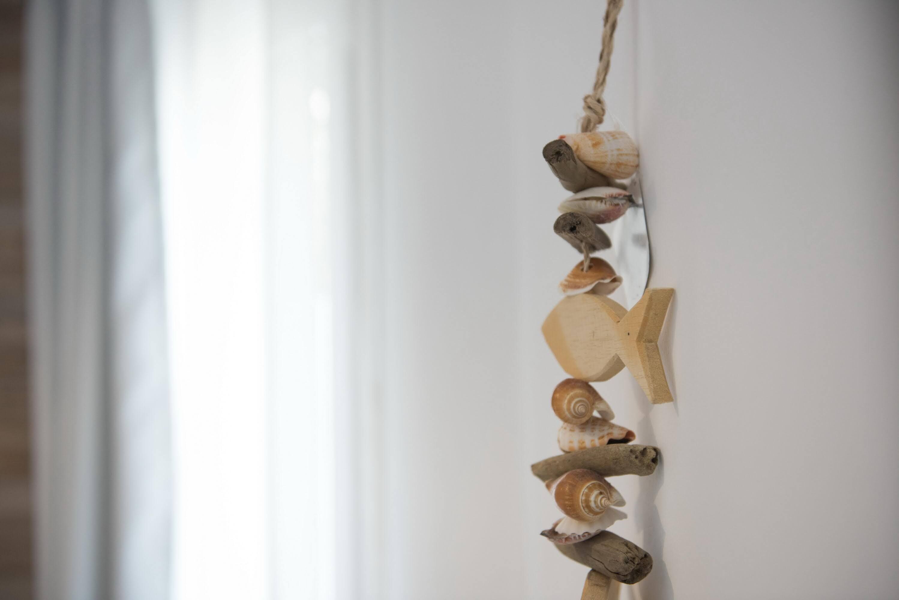 A wall with a wooden decoration featuring seashells and driftwood.