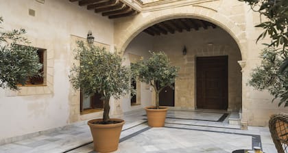 CASA PALACIO SUR I