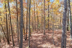 Unclassified image, 5 of 49, button - 3BR 2BA w/ King Bed/Hot Tub in Heart of RRG (Campton)